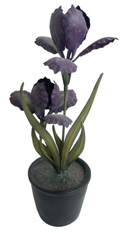shishi Metal irises potted purple 29cm