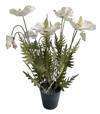 shishi Metal poppy planted white h63cm