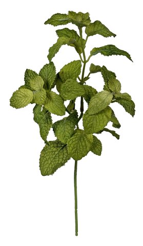 shishi Mint pick green 27cm