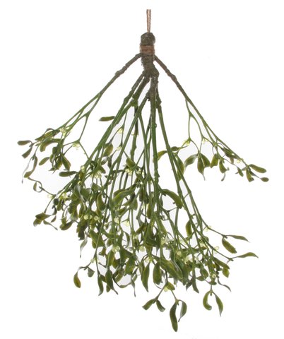 shishi Misteltoe hanging 60cm