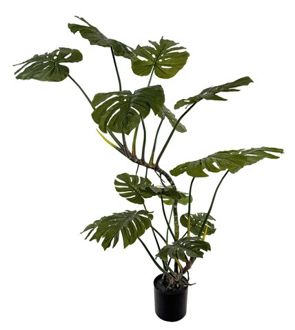 shishi Monstera potted green 160cm