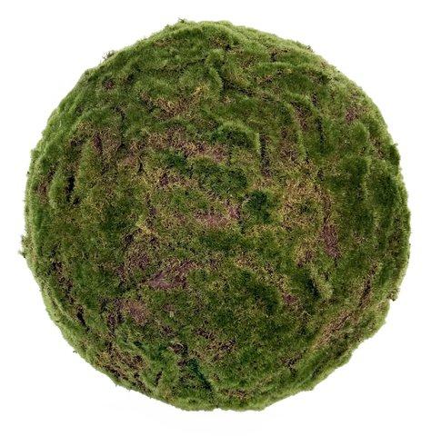 shishi Moss ball green 45cm