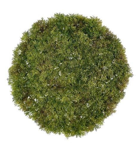 shishi Moss plate round green d40cm