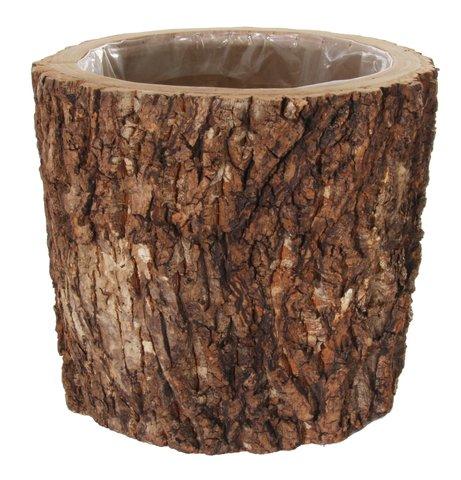shishi Oak bark cylinder d37;h32cm