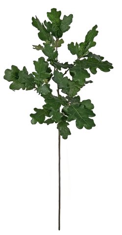 shishi Oak branch green 89cm