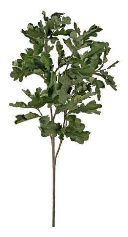 shishi Oak branch green 97cm
