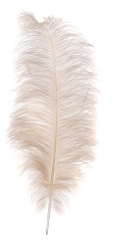 shishi Ostrich feather beige 60-65cm
