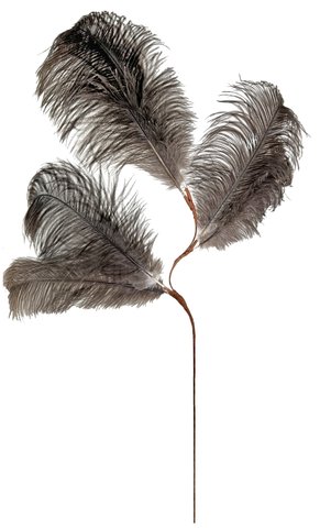 shishi Ostrich feather x 6 natural 88cm