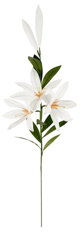 shishi Paper lily white 70cm