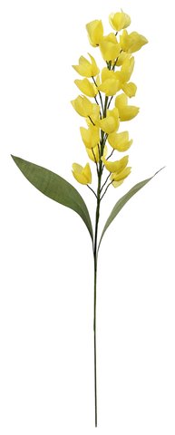 shishi Paper orchid yellow 70cm