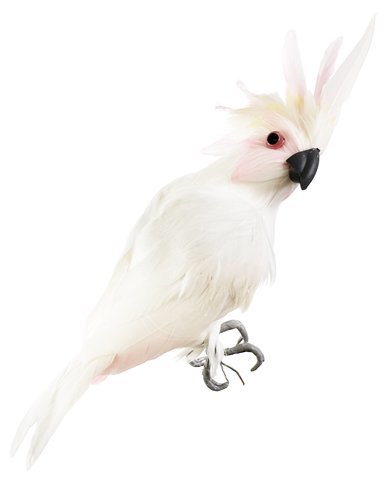 shishi Parrot white pink 24cm