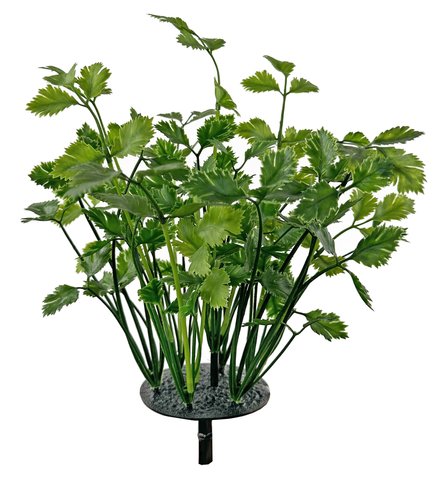 shishi Parsley bush green 25cm