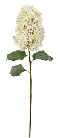 shishi Pegee hydrangea cream 90cm