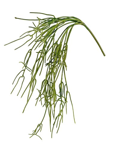 shishi Pencil cactus green 110cm