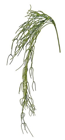 shishi Pencil cactus green 170cm