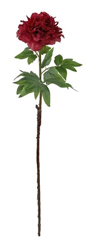 shishi Peony dark red 90cm