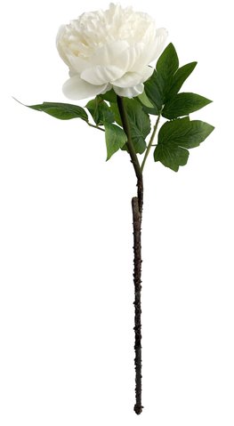 shishi Peony white 60cm