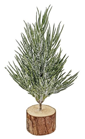 shishi Pine tree iced wooden base 22cm