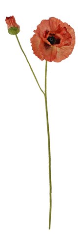 shishi Poppy with bud orange 75cm