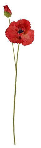 shishi Poppy with bud red 75cm
