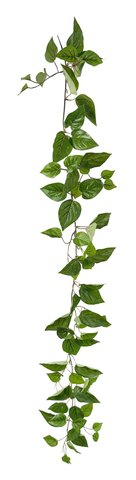 shishi Pothos garland green 160cm UV PROOF