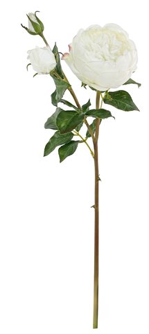 shishi Rose with buds white 52cm