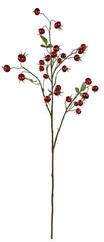 shishi Rosehip red with leaves 100cm