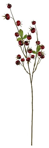 shishi Rosehip red with leaves 80cm