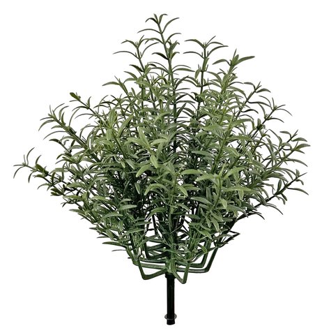 shishi Rosemary bush green 24cm
