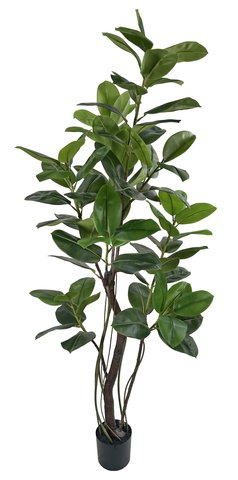 shishi Rubber tree green 210cm