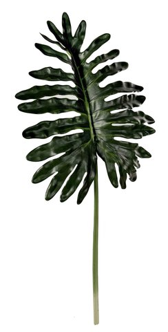 shishi Selloum leaf green 106cm
