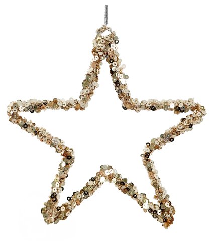 shishi Sequin open star champagne 12cm