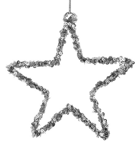 shishi Sequin open star silver 12cm