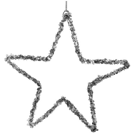 shishi Sequin open star silver 20cm