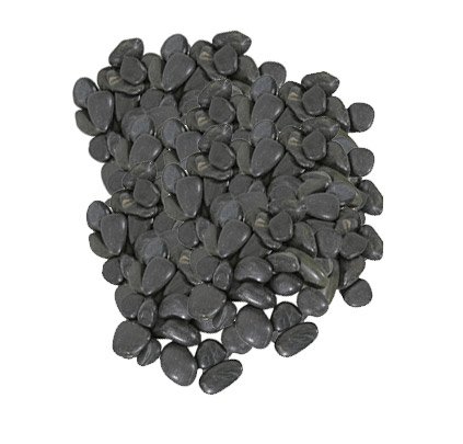 shishi Stones black polished 1kg d0 5-1cm