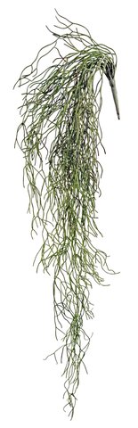 shishi Succulent hanging 90cm