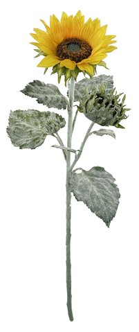 shishi Sunflower yellow 113cm