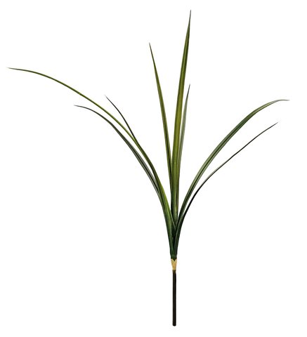 shishi Sword grass dk green 65cm