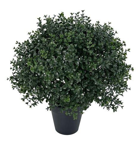 shishi Tealeaf ball green potted d55cm