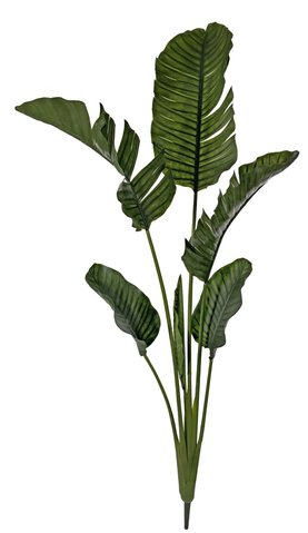 shishi Travelers palm green no pot h2m
