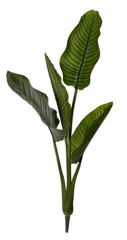 shishi Travellers plant 1 3m UV RESISTANT