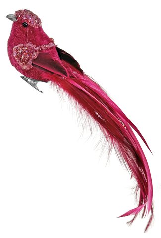 shishi Velvet feather bird burgundy 22cm