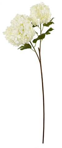 Shishi Viburnum Branch Lt Green 75cm
