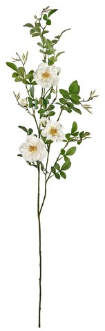 shishi Wild rose cream 1 25m