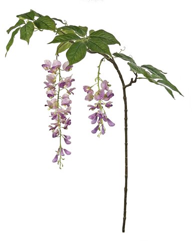 shishi Wisteria lavender 125cm