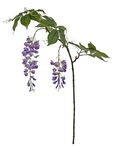 shishi Wisteria purple 125cm