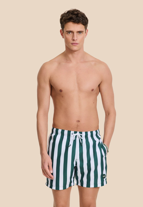Shiwi MAC Swim Shorts Broad Stripe Green Leaf Stripe