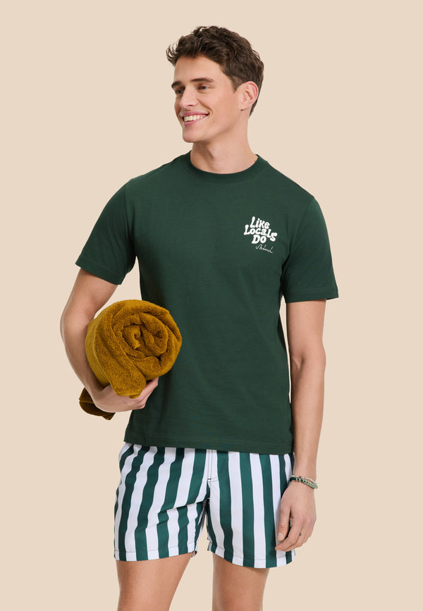 shiwi MAC swim shorts broad stripe green leaf stripe