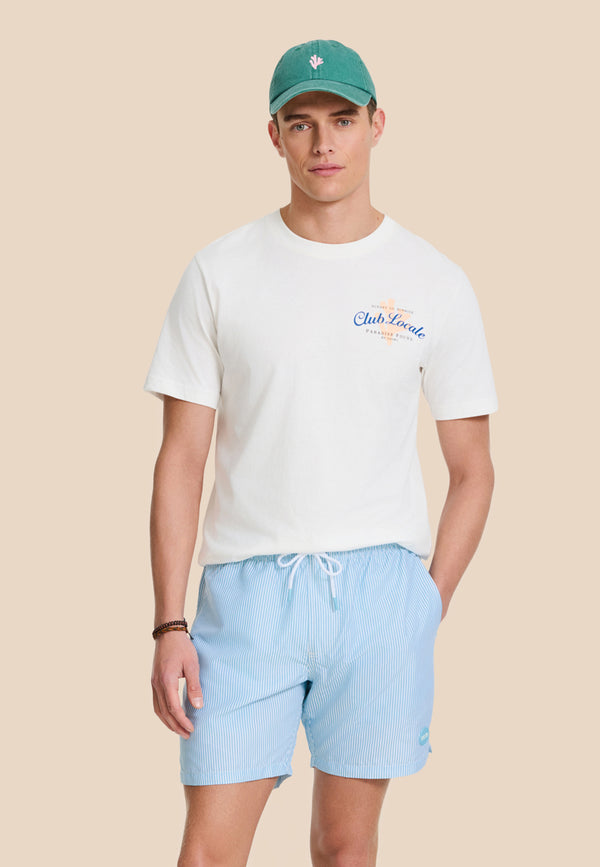 shiwi MIKE swim shorts fine stripe Blue sky fine stripe