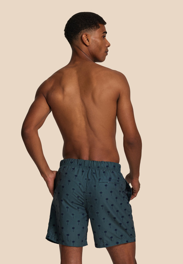 Shiwi MIKE Swim Shorts Scratched Shiwi Palm